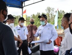 Dengar Keluhan Petani Sawit, Gubernur Minta Dinas Pertanian kelapangan
