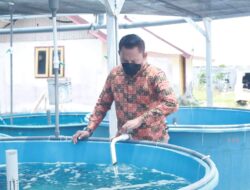 Kunjungi BBI Tanjung Rusa, Ketua DPRD Berpesan Agar Sigap Membaca Peluang