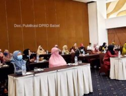 Srikandi PDI-P Evi Junita Ingin Wujudkan Kesetaraan Gender 