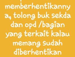 Viral di Medsos Story Whatsapp Wawako Pangkalpinang
