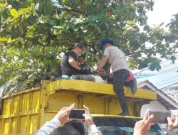Tim Hiu Putih Berhasil Gagalkan Penyelundupan Timah Didalam Truk