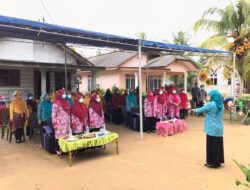 Desa Penyamun Gelar Penilaian Hatinya PKK, Tingkat Kabupaten