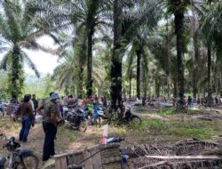 Polres Bangka Barat dan Tim Gabungan Lakukan Himbauan Persuasif kepada penambang di HGU PT.GSBL