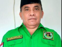 Keterlibatan Kaum Milenial Pada Parpol, Khairul Sampaikan Ini