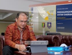 Dua Minggu Lagi Menhub Tindaklanjuti Konektivitas Babel-Lampung