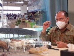 Tingkatkan Produktivitas dan Perkuat Daya Tahan UMKM Babel, Gubernur Dorong Optimalisasi Penyaluran KUR   