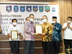 Bupati Algafry Terima Penghargaan MCP Tahun 2021   