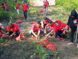 DPC PDIP Pangkalpinang Tanam 1.500 Mangrove di HUT Ke-49 PDIP dan HUT Megawati Soekarnoputri 
