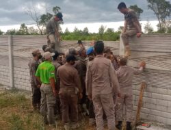 Akhirnya Eksekusi Bangunan Pagar Milik PT SMP, Tetap di Laksanakan Oleh Satpol PP