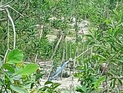 Lahan Milik Pemerintah Disekitar GOR Sang Depati Kembali Dijarah Penambang Ilegal
