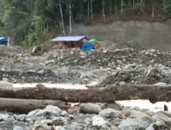 Warga Manokwari Keluhkan Aktifitas Tambang Ilegal Semakin Ramai dan Pekerjanya 90 Persen dari Luar Daerah