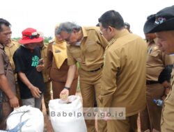 PJ Gub Babel Ridwan Djamaluddin: Lumbung Pangan Babel Sangat Penting