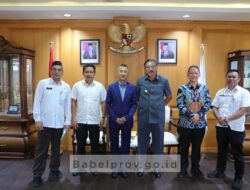 Bangun Pabrik Hilirisasi Kuarsa di Belitung, Investor Tiongkok Siap Kucurkan 7 Miliar Dolar AS