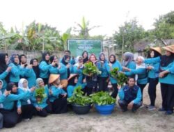 Ketua TP PKK Pangkalpinang Panen Sawi Hijau 50 Kg di KWT Kemuning