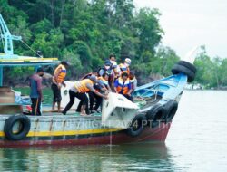PT Timah Melakukan Reklamasi Laut untuk Keseimbangan Lingkungan