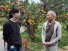 Pengalaman Wisata Kebun Jeruk Cheng Xiang Sen Lin Orange Garden Township Taiwan