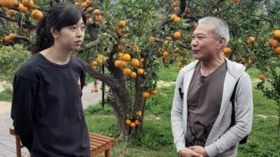Pengalaman Wisata Kebun Jeruk Cheng Xiang Sen Lin Orange Garden Township Taiwan