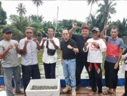 Panen Perdana BLA Desa Terentang III Hasilkan 700kg Udang Vaname: Algafry Mendorong Pengembangan Usaha