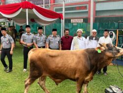 Rayakan Idul Adha 1445 Hijriah, Rutan Kelas I Jakarta Pusat Terapkan Metode Unik Penyembelihan Hewan Qurban