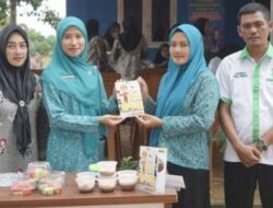 Ketua TP PKK Bateng Ajak Stakeholder Kerja Sama Tangani Stunting