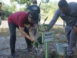 Pemkab Bangka Tengah Tanam 200 Pohon di Pantai Sumur Tujuh