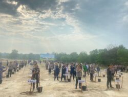 PT Timah Perkuat Komitmen Lingkungan Lewat Penanaman Sejuta Pohon di Bangka Belitung