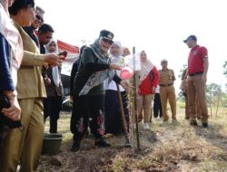 Pemkot Pangkalpinang Tanam 700 Bibit di Aliran Sungai Rangkui
