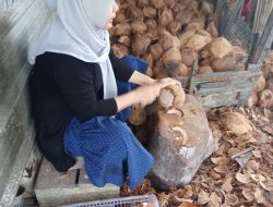 Kisah Transformasi Usaha Nuriah bersama PT Timah
