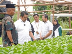 PT Timah Dukung Kelompok Perempuan Kundur Kembangkan Hidroponik dan Pertanian Cabai