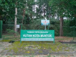 PT Timah Rawat Hutan Kota Mentok, Lestarikan Ekosistem Lokal