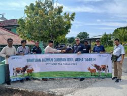 Idul Adha 1446 H, PT Timah Kembali Tebar Hewan Kurban untuk Masyarakat Bangka Barat