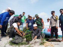 Dukung Wisata Ramah Lingkungan, PT Timah Hijaukan Pantai Batu Tunggal