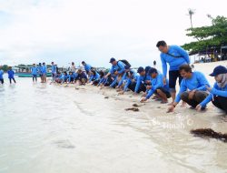 AAI Sumbagsel dan PT Timah Lepas Tukik, Dukung Pelestarian Laut Belitung