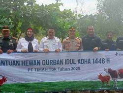 Ratusan Hewan Kurban dari PT Timah Warnai Idul Adha di 4 Provinsi