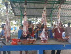 PT Timah dan Karyawan Salurkan Daging Kurban, Jalin Kebersamaan dengan Masyarakat