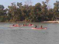 PT Timah Dukung Lomba Dayung dan Penanaman Mangrove Peringati Hari Mangrove Sedunia di Bangka