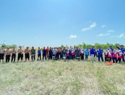 4.000 Mangrove Ditanam di Bangka, PT Timah dan HNSI Kompak Jaga Ekosistem Pesisir