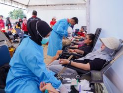Kolaborasi PT Timah–PMI Bangka Himpun Puluhan Kantong Darah di HUT ke-49