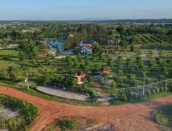 PT Timah Dorong Rehabilitasi Ekosistem lewat Reklamasi Darat Pascatambang
