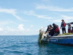 178 Fish Shelter dan 40 Coral Garden Ditanam PT Timah di Perairan Bangka