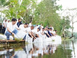 Dukung Ketahanan Pangan, PT TIMAH Tebar Bibit Ikan di Enam Kolong Desa Pemali