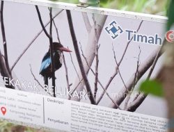 PT TIMAH Tbk Tegaskan Komitmen Pelestarian Satwa Melalui Dukungan ke PPS Alobi
