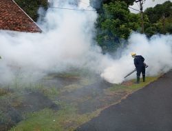 PT TIMAH Tbk Gencarkan Fogging untuk Tekan Kasus DBD di Wilayah Operasional