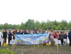 Dukung Mitigasi Iklim, PT TIMAH Perluas Program Penanaman Mangrove