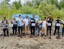 Dukung Rehabilitasi Pesisir, PT TIMAH Tbk Tanam Ribuan Mangrove di Pantai Kobel
