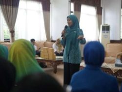 Eva Algafry Bersama Dinkes Bateng Gelar Seminar Kesehatan untuk Ibu-Ibu