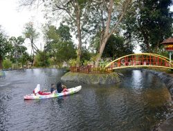 Tins Green Garden Foresttree Jadi Ruang Hijau Favorit Warga Pangkalpinang, Bukti Komitmen PT TIMAH Kelola Aset Berkelanjutan   
