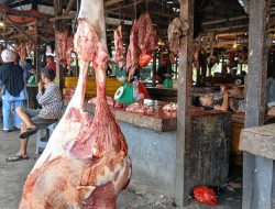 Jelang Idulfitri 2026, Pemkot Pangkalpinang Pastikan Harga Daging Tetap Terkendali