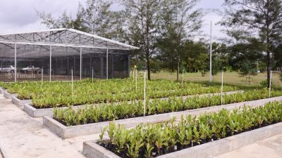 PT Timah Genjot Reklamasi 411 Hektare di 2026, Perkuat Komitmen Lingkungan