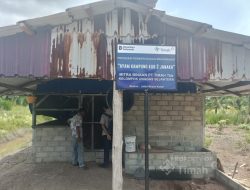 PT Timah Bina Peternak Ayam di Kundur Barat, Produksi Naik Jadi 400 Ekor